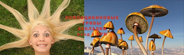 дживик Алексеевка