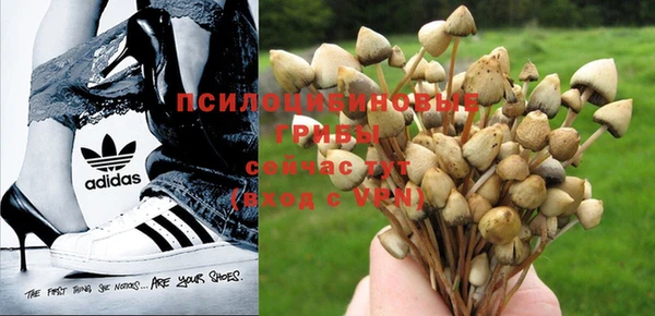 дурь Арсеньев